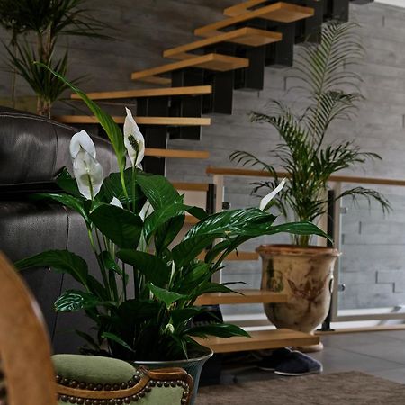 Superbe Appartement Au Coeur Du Jura شامبيانول المظهر الخارجي الصورة
