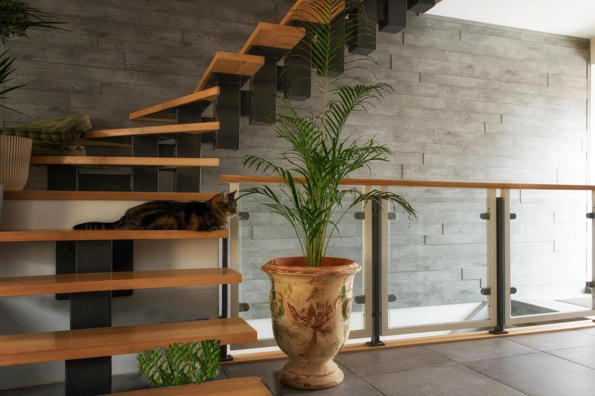 Superbe Appartement Au Coeur Du Jura شامبيانول المظهر الخارجي الصورة
