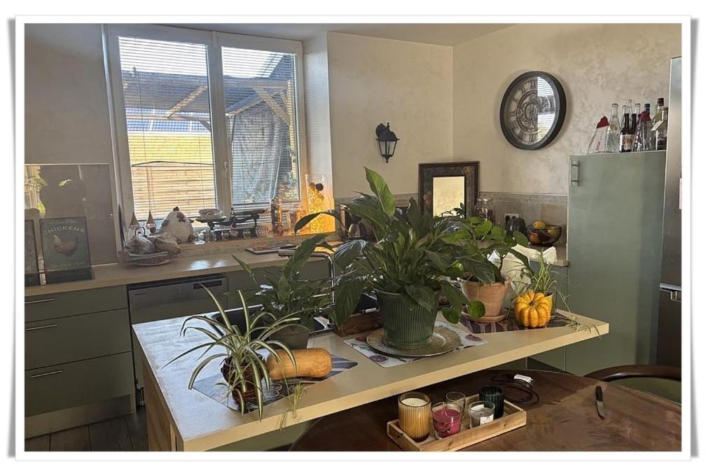 Superbe Appartement Au Coeur Du Jura شامبيانول المظهر الخارجي الصورة